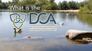 Image of title page for What is the DCA video